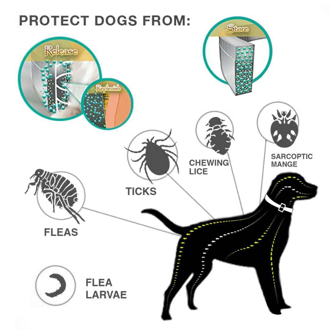 Insect Repellent Collar Summer Anti-flea Pet Supplies Cat Dog Mosquito Control Insect Control Collar