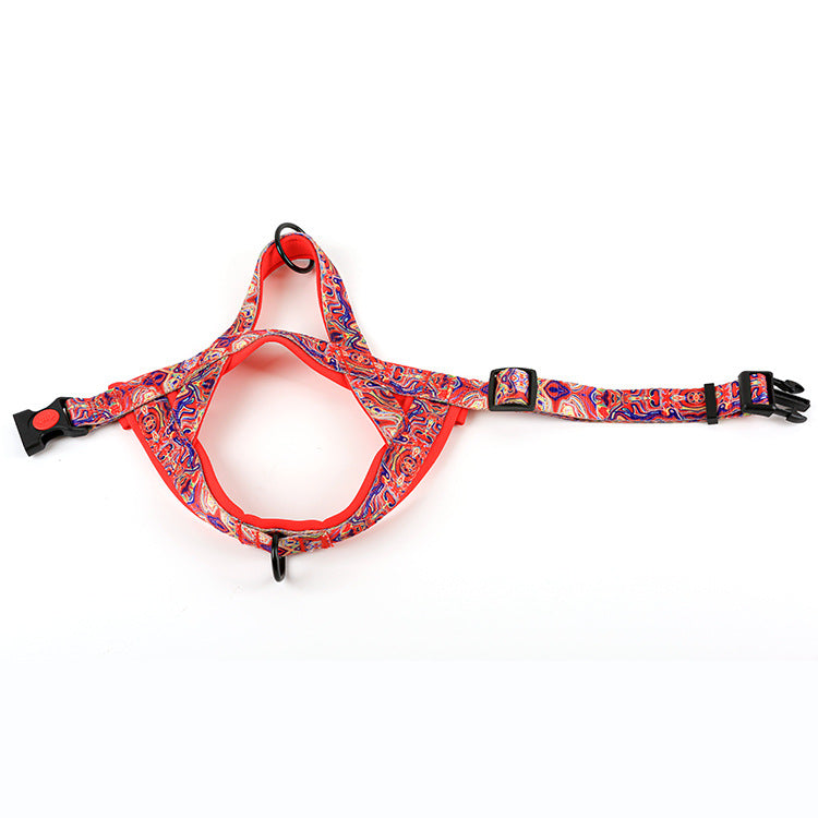 Dog Leash