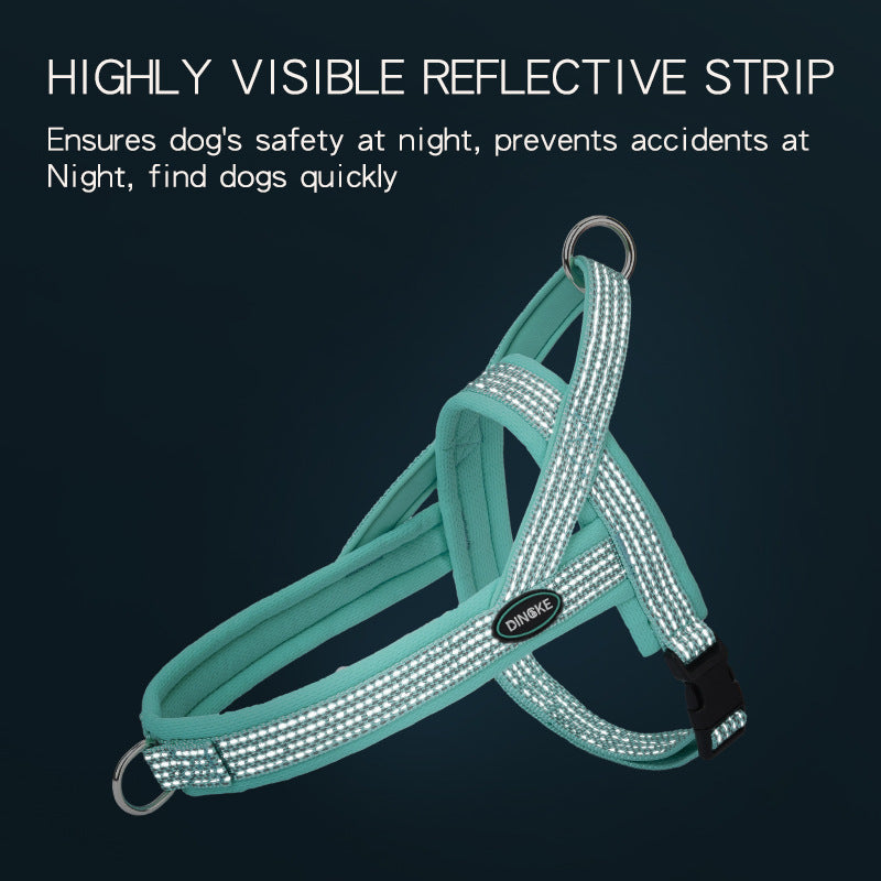 Dog Leash