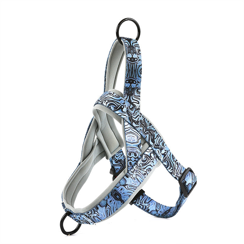 Dog Leash