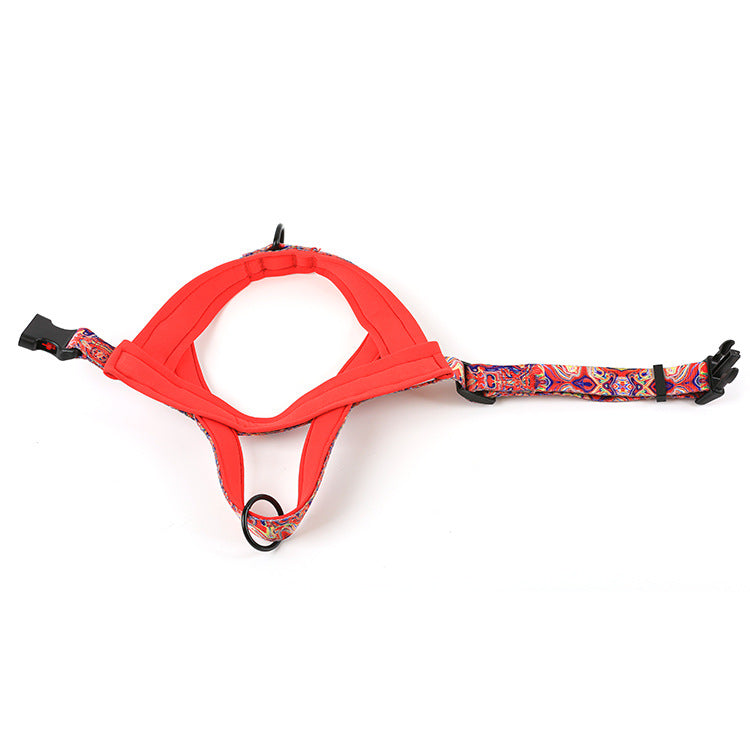 Dog Leash