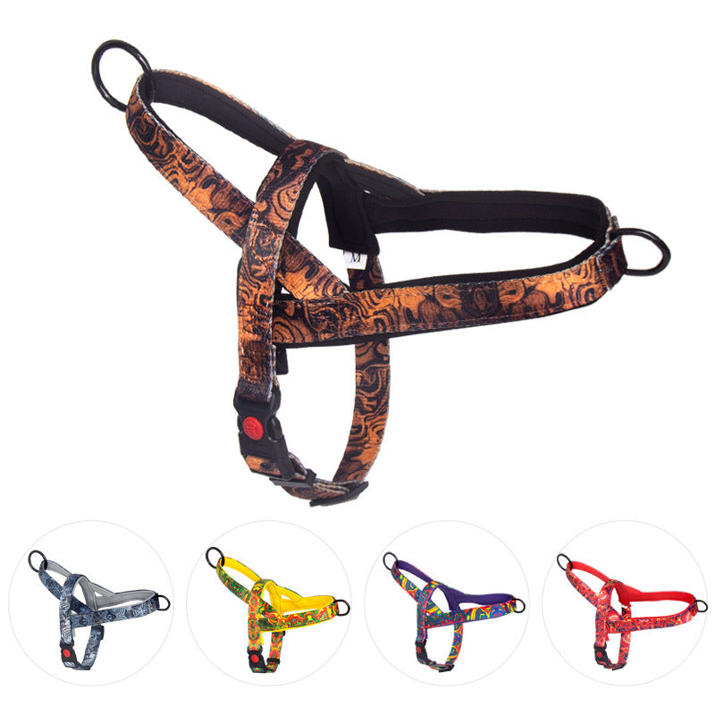 Dog Leash