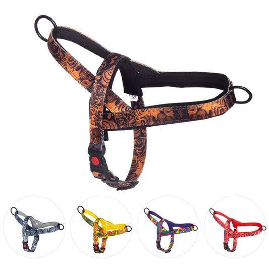 Dog Leash