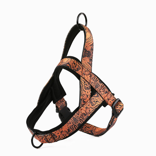 Dog Leash