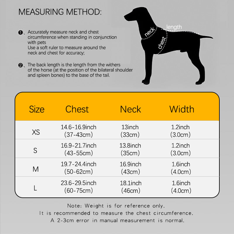 Dog Leash